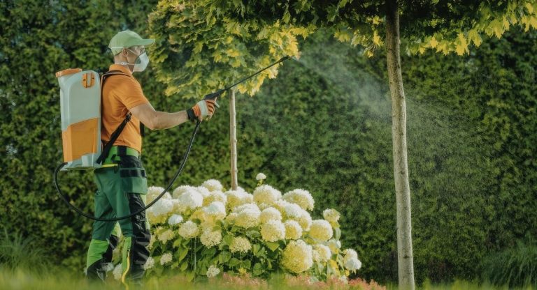 Jardinier avec pulvérisateur à dos appliquant un herbicide sur des plantes