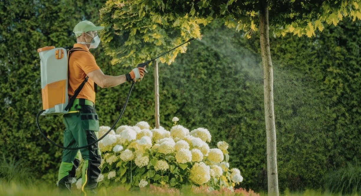 Jardinier avec pulvérisateur à dos appliquant un herbicide sur des plantes
