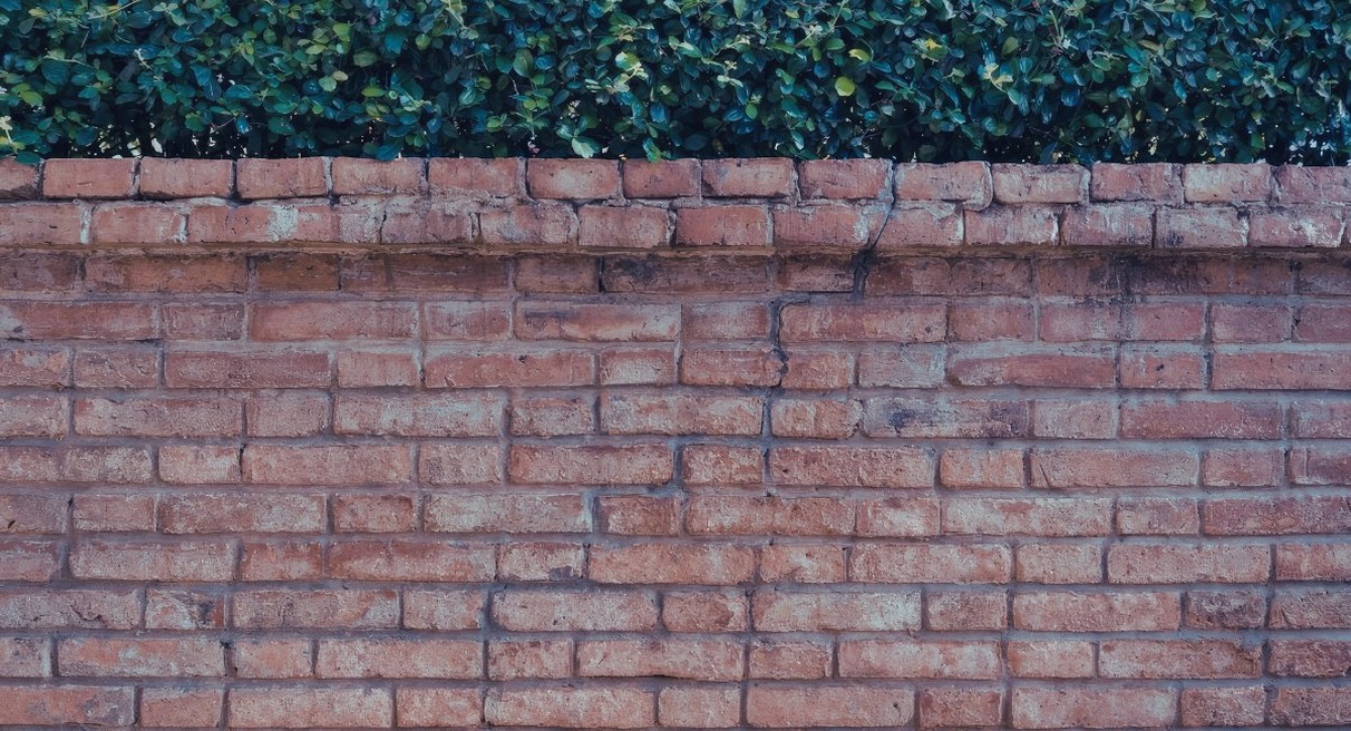 Haie et mur en briques marquant la limite de propriété d'un jardin