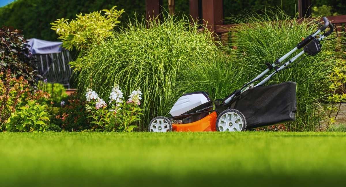 Tondeuse à gazon sans fil à batterie posée sur une pelouse fleurie