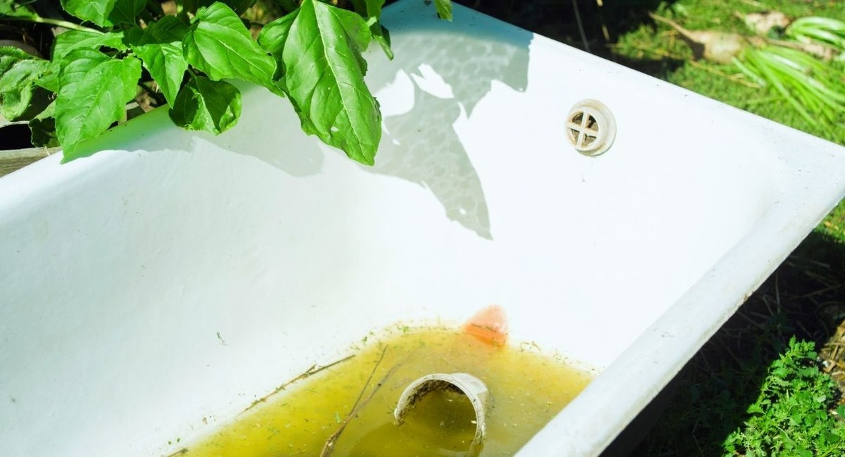 Ancienne baignoire en fonte blanche réutilisée dans un jardin